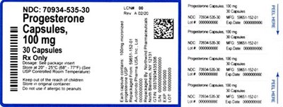 Label (70934 535 30 Master Bottle Label Approval   Rev A 02 20)